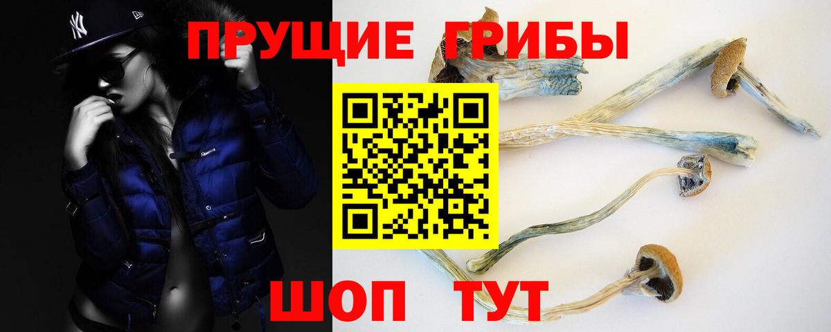 Псилоцибиновые грибы Psilocybe Куйбышев