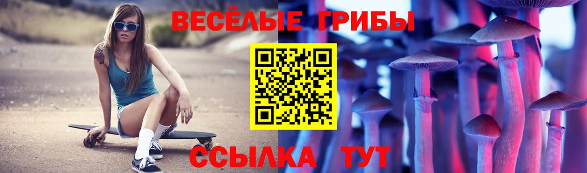 Куйбышев  Галлюциногенные грибы Psilocybine cubensis  Вход с VPN 